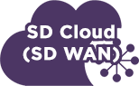 SD Cloud (SD WAN)
